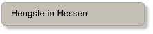 Hengste in Hessen