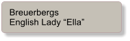 Breuerbergs English Lady Ella